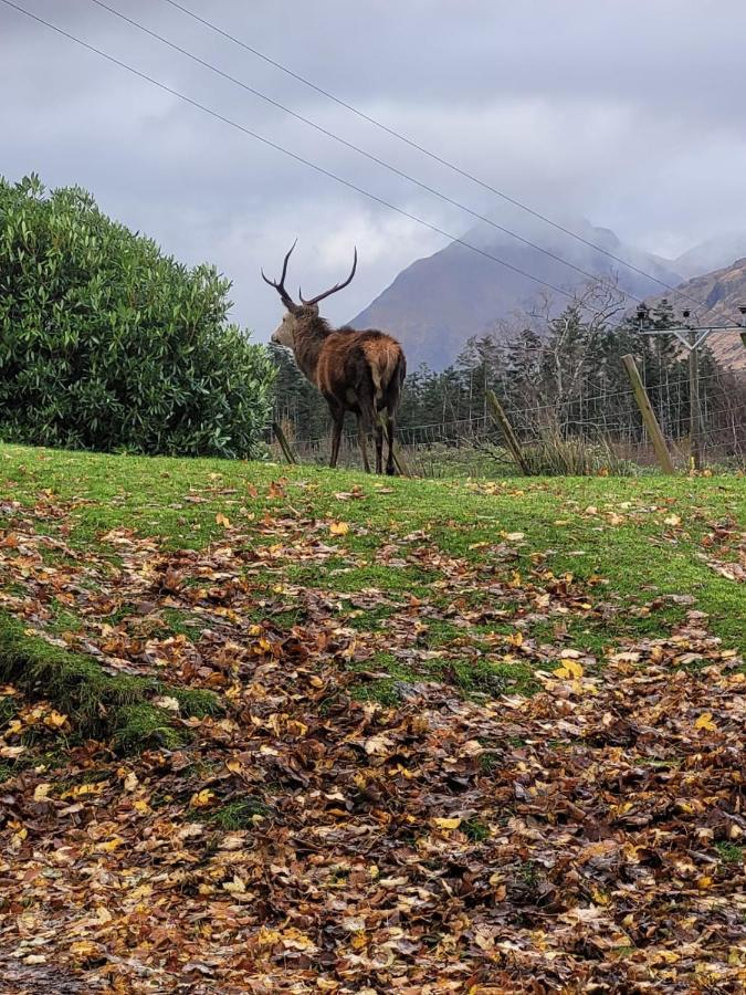 הוילה פורט ויליאם Ormasaig, Self Catering, One Mile To Town & Close To Ben Nevis מראה חיצוני תמונה